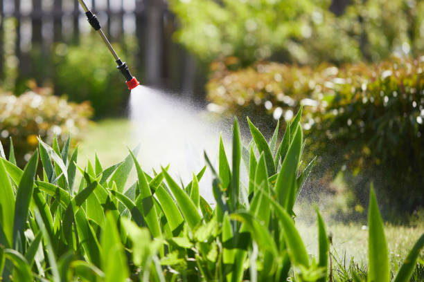 24/7 Emergency Mosquito Control experts in Seminole, TX