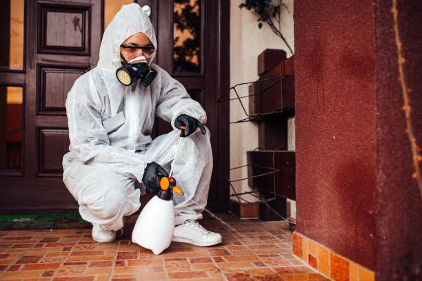 Reliable Mosquito Control contractor in Seminole, TX by Show Me Pest Control